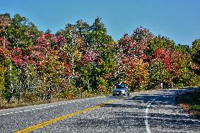 Daily Life In Muskoka