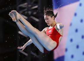 Paris Olympics: Diving