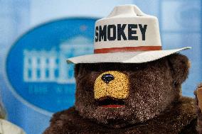 DC: Smokey the Bear Visits White House for 80th Birthday