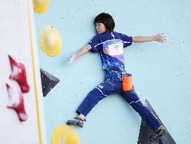 Paris Olympics: Sport Climbing