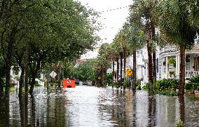 Tropical Storm Debby Leaves Inches Of Rain In Charleston, SC