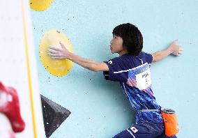 Paris Olympics: Sport Climbing