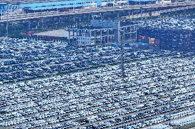 Vehicles Export at Nanjing Port