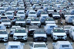 Vehicles Export at Nanjing Port