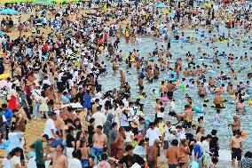 High Temperature Hit Qingdao