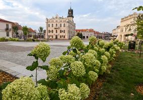 Daily Life In Jaroslaw