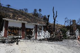 U.S.-CALIFORNIA-SAN BERNARDINO-BRUSH FIRE