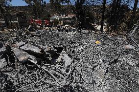 U.S.-CALIFORNIA-SAN BERNARDINO-BRUSH FIRE