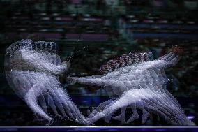 Fencing - Paris Olympic Games 2024 - Day 9