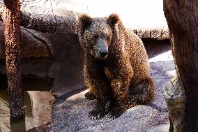 UZBEKISTAN-TASHKENT-ANIMALS-HEATWAVE