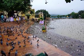 Pushkar Lake Brims With Water - India