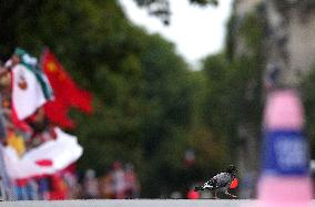 Paris 2024 - Spain Take Gold In Marathon Race Walk Mixed Relay