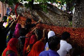 Kalpavriksha Wish Fulfilling Divine Tree - India