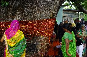 Kalpavriksha Wish Fulfilling Divine Tree - India