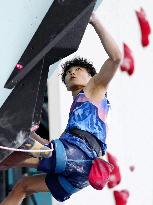 Paris Olympics: Sport Climbing