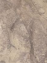 CHINA-GANSU-DINOSAUR FOOTPRINTS-DISCOVERY (CN)