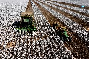 BRAZIL-GOIAS-COTTON-HARVEST