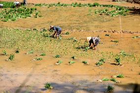 CHINA-HUNAN-HEAVY RAIN-RESTORATION (CN)