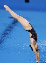 Paris Olympics: Diving