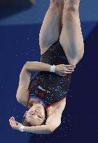 Paris Olympics: Diving