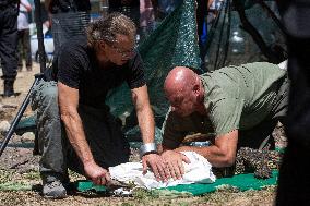 Crocodile Found In The District Of Sofia.