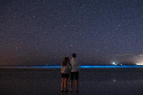 Bioluminescent Plankton Light Up The Galicia Coast - Spain