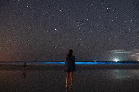 Bioluminescent Plankton Light Up The Galicia Coast - Spain