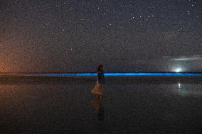 Bioluminescent Plankton Light Up The Galicia Coast - Spain