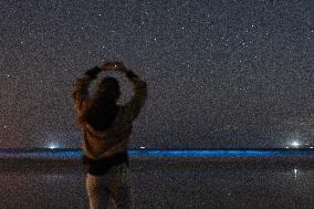 Bioluminescent Plankton Light Up The Galicia Coast - Spain