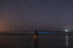 Bioluminescent Plankton Light Up The Galicia Coast - Spain