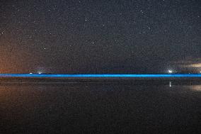 Bioluminescent Plankton Light Up The Galicia Coast - Spain