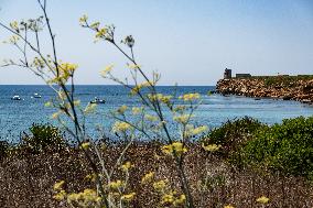 Travel Destination - Sardinia, Italy