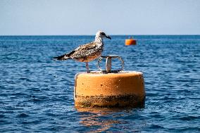 Travel Destination - Sardinia, Italy