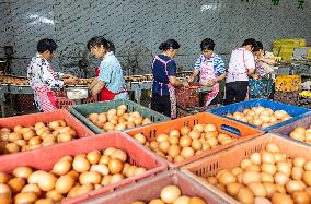 A Poultry Company in Suqian