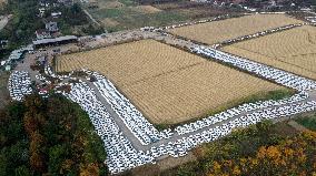 Abandoned Electric Sharing Cars