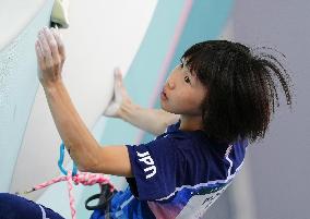 Paris Olympics: Sport Climbing