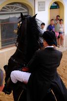 Traditional Jaleo - Balearic Islands