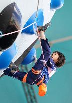 Paris Olympics: Sport Climbing