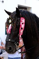 Traditional Jaleo - Balearic Islands