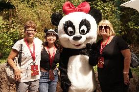 U.S.-SAN DIEGO-ZOO-PANDA DAY