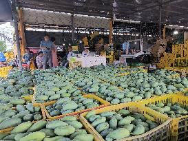 CHINA-GUANGXI-BAISE-MANGO CULTIVATION HUB (CN)