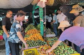 CHINA-GUANGXI-BAISE-MANGO CULTIVATION HUB (CN)