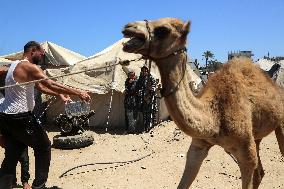 Palestinians Receive Food Rations Amid Conflict