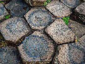 Giant's Causeway, UNESCO World Heritage In Northern Ireland.