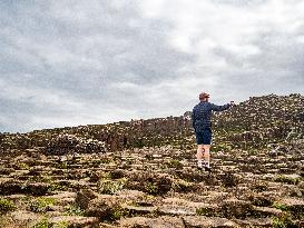 Giant's Causeway, UNESCO World Heritage In Northern Ireland.