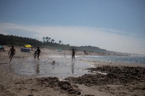 The Beach On The Baltic Sea Seen From Jastrzębia Góra