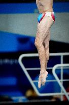 Paris 2024 - Diving 3m Springboard Final - Jules Bouyer