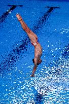 Paris 2024 - Diving 3m Springboard Final - Jules Bouyer