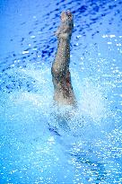 Paris 2024 - Diving 3m Springboard Final - Jules Bouyer