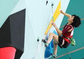 (PARIS2024)FRANCE-LE BOURGET-OLY-SPORT CLIMBING